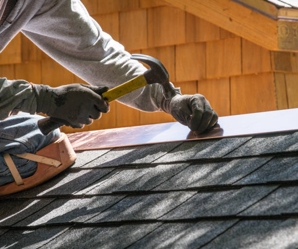 Roof Gutter Cleaning in Elmhurst, IL